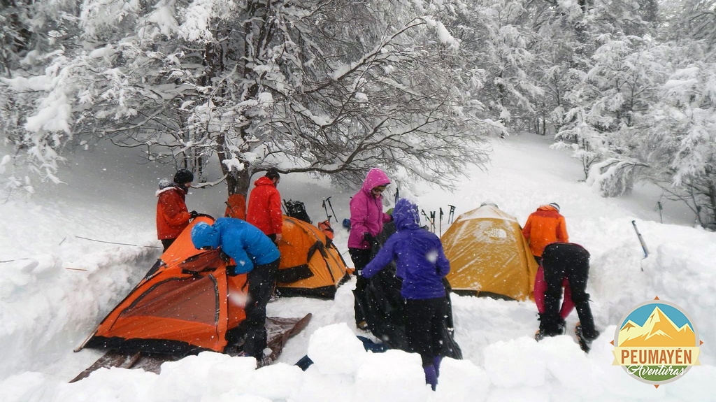 PEUMAYEN0020 1