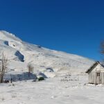 PUYEHUE (9)