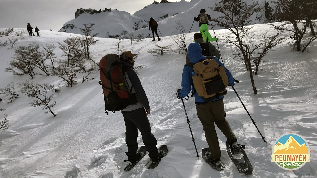INVERNALES (13)