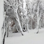 TREKKING LAGUNA ILON INVERNAL