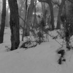 trekking cerro goye invierno 6