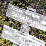 trekking invernal bella vista 4