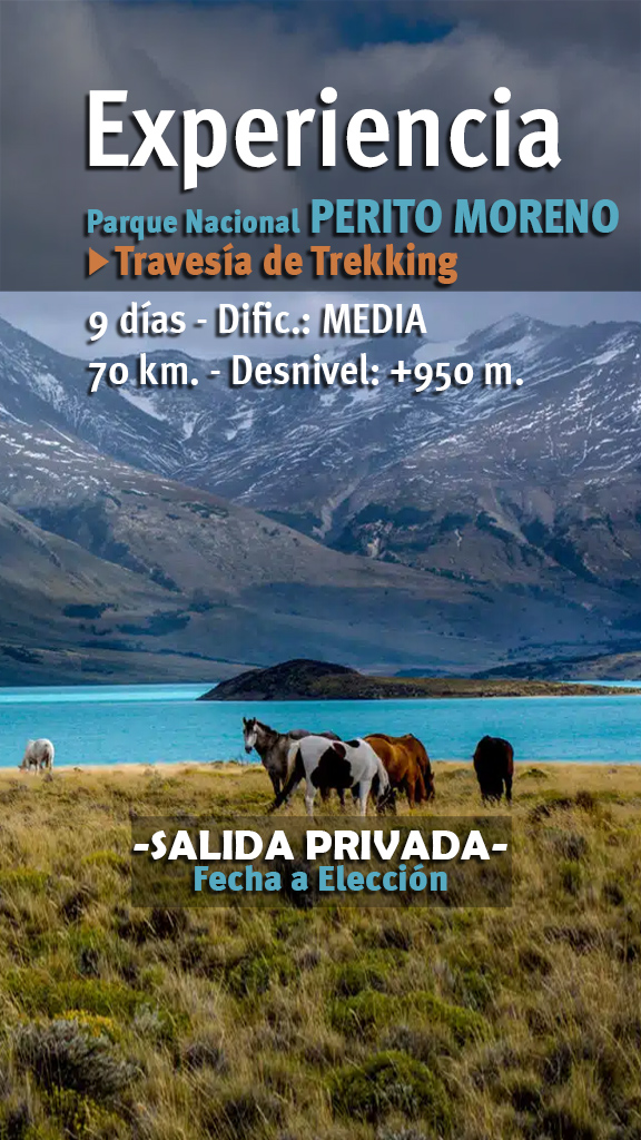 EXPERIENCIA TRAVESÍA PARQUE NACIONAL PERITO MORENO