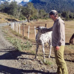 ASCENSO REFUGIO VIEJO TRONADOR 02