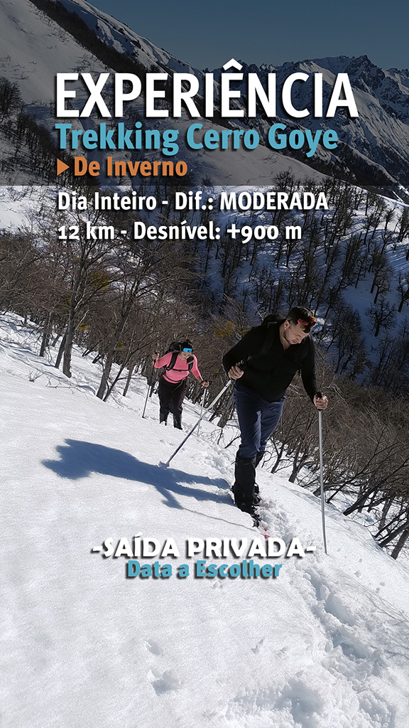 PORTUGUES TREKKING DE INVERNO CERRO GOYE P