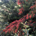 BICI RODANDO EN EL PARAISO 02