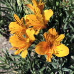 BICI RODANDO EN EL PARAISO 03