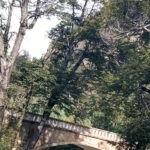 BICI RODANDO EN EL PARAISO 21