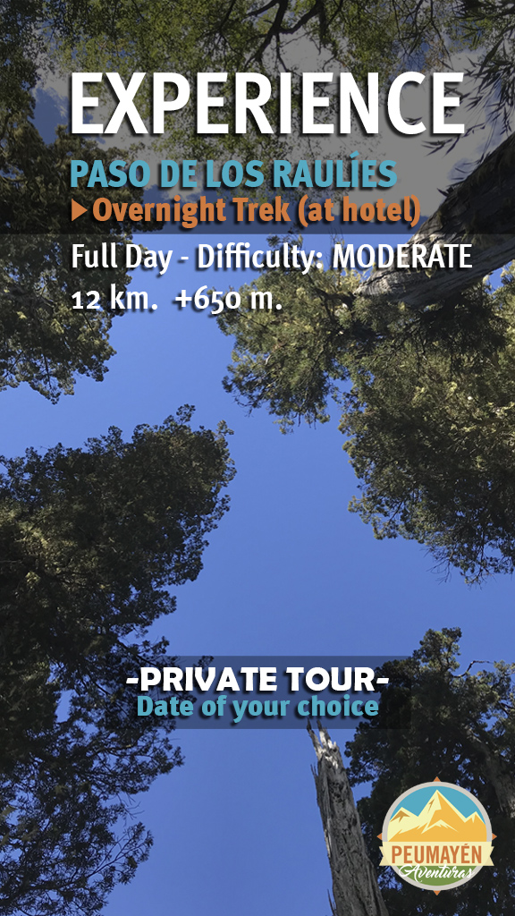 ENGLISH TREKKINGS PASO DE LAS NUBES