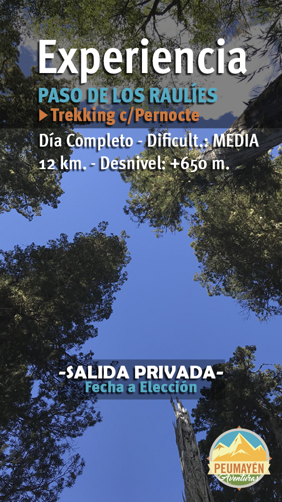 EXPERIENCIA TREKKING PASO DE LOS RAULÍES