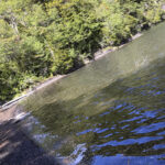 TREKKING LAGO ORTIZ BASUALDO 07