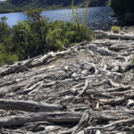 TREKKING LAGO ORTIZ BASUALDO 10