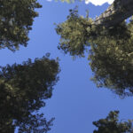 TREKKING PASO DE LOS RAULIES PUERTO FRIAS PUERTO BLEST (17)