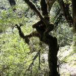 TREKKING PASO DE LOS RAULIES PUERTO FRIAS PUERTO BLEST (2)