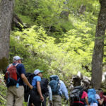 TREKKING PASO DE LOS RAULIES PUERTO FRIAS PUERTO BLEST (23)