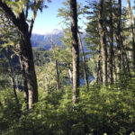 TREKKING PASO DE LOS RAULIES PUERTO FRIAS PUERTO BLEST (5)