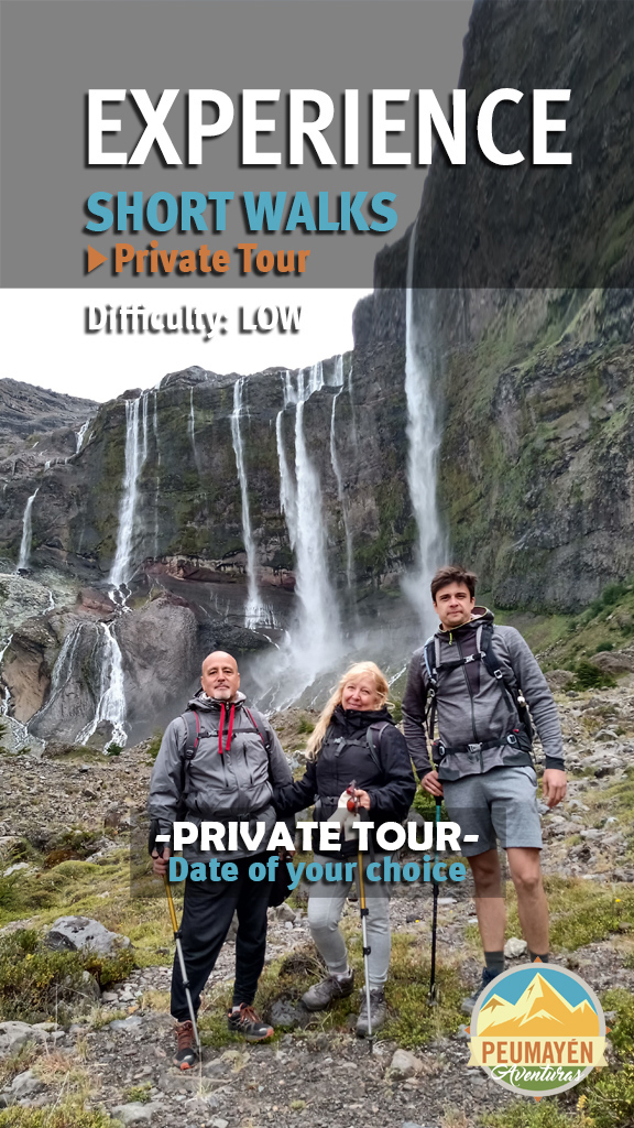 ENGLISH PORTADA SHORT WALKS