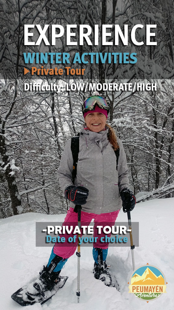 ENGLISH PORTADA WINTER ACTIVITIES