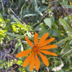 TREKKING CERRO CENTINELA 13