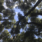 TREKKING FILO DE LAS CABRAS 01