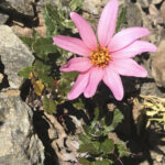 TREKKING FILO DE LAS CABRAS 02