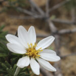 TREKKING FILO DE LAS CABRAS 03