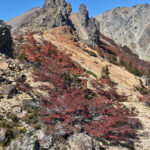 TREKKING CERRO VENTANA BARILOCHE (9)