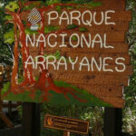 web-trekking-bosque-de-arrayanes-bariloche (15)