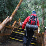 web-trekking-bosque-de-arrayanes-bariloche (8)