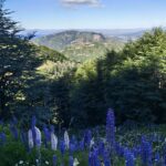 web-trekking-refugio-frey-por-el-filo-trekking-bariloche (11)